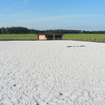 jízdárna - povrch bílý písek